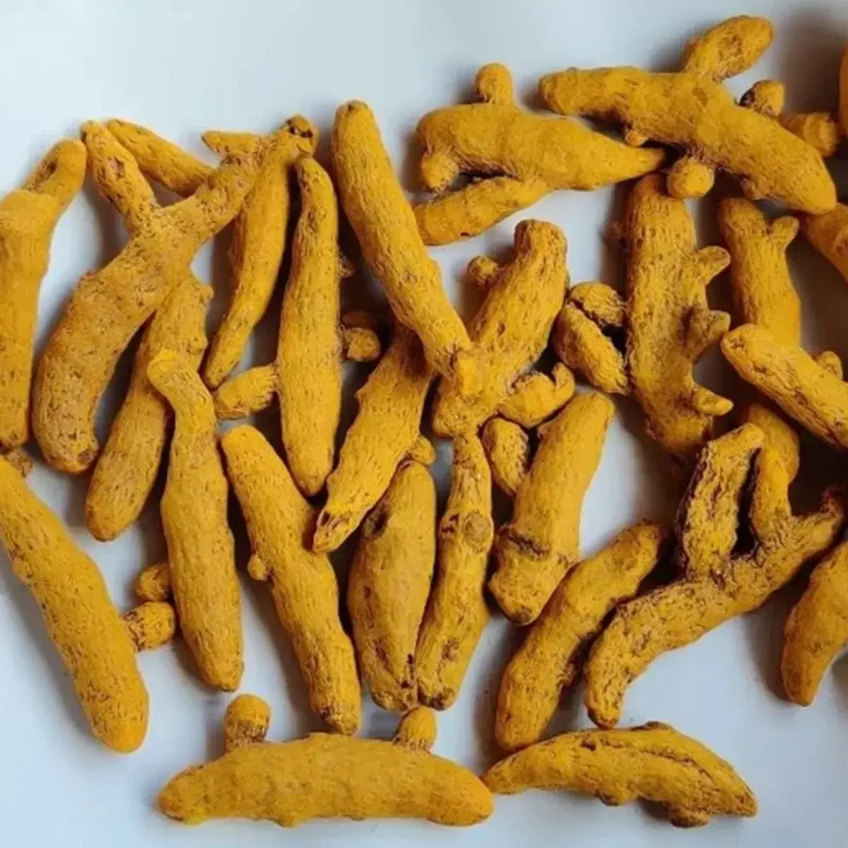Premium Indian Turmeric Fingers
